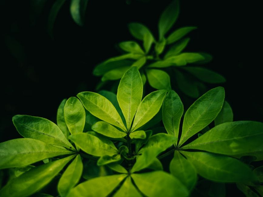 Understanding Your Carbon Footprint Without the Math Headache