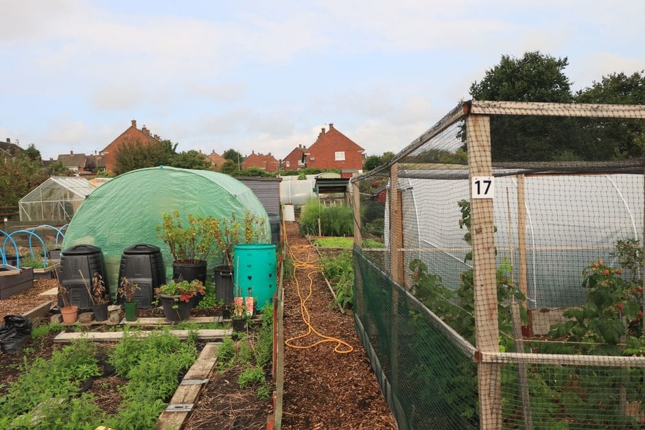 A Beginner's Guide to Home Composting