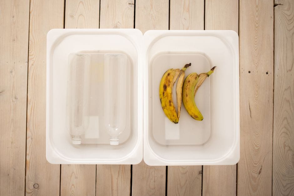 How to Compost in an Apartment