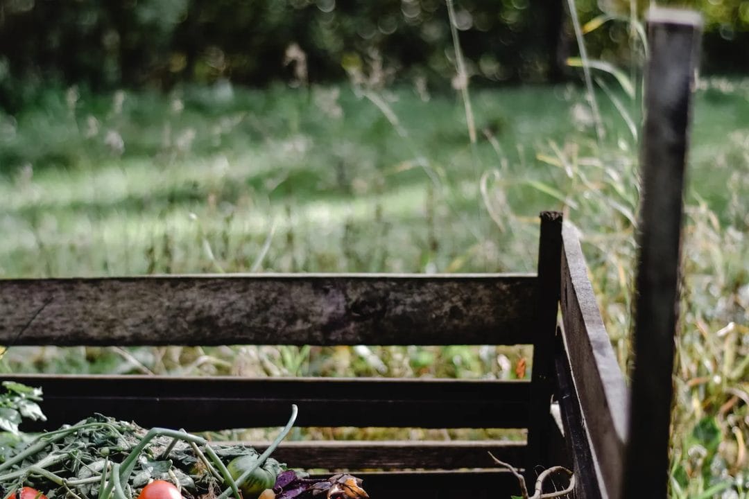 Putting the Vegetable Garden to Bed: A Fall Clean-Up and Compost Checklist That Feeds Next Year's Soil
