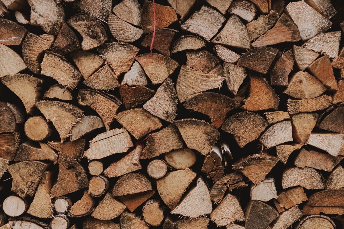 The Firewood Rule Almost Nobody Follows This Fall — And Why It Matters
