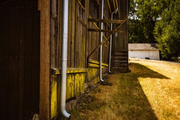 Rain Barrels and Backyard Water Collection