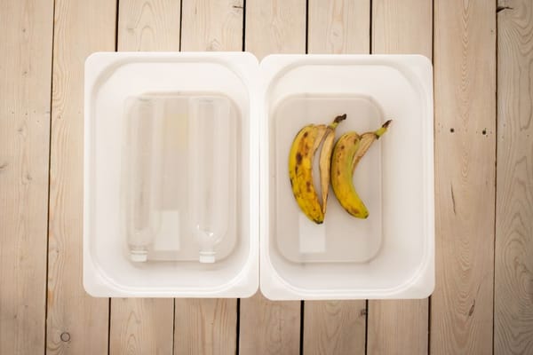 How to Compost in an Apartment