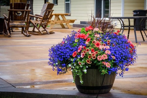 The Rain Barrel That Pays for Itself by August