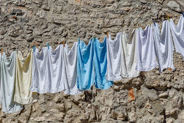 The Clothesline Comeback: Why Line-Drying Beats the Dryer