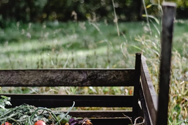 Putting the Vegetable Garden to Bed: A Fall Clean-Up and Compost Checklist That Feeds Next Year's Soil
