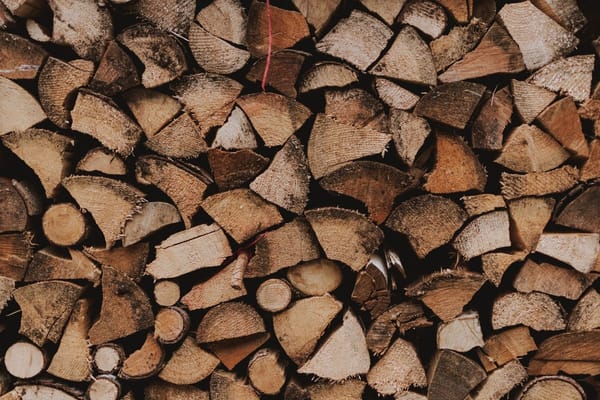The Firewood Rule Almost Nobody Follows This Fall — And Why It Matters